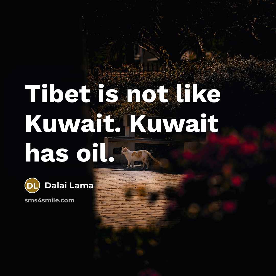 “Tibet is not like Kuwait. Kuwait has oil.…” quote by Dalai Lama