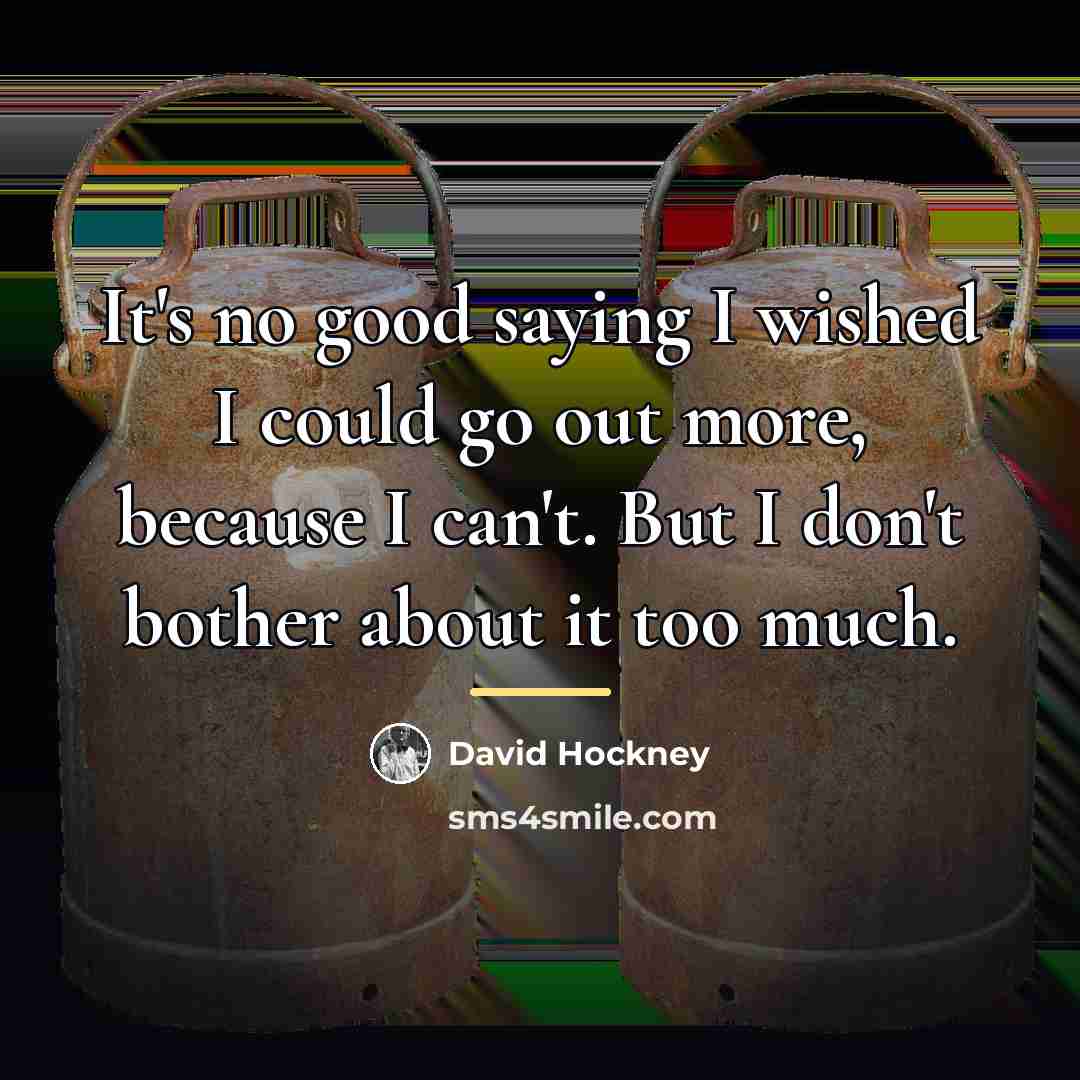 “It's no good saying I wished I could go out…” quote by David Hockney