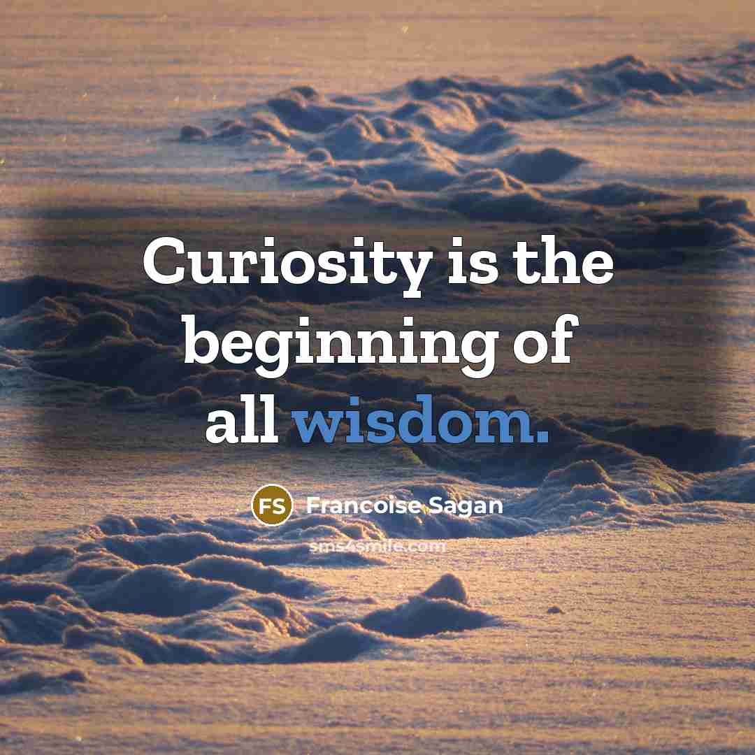 “Curiosity is the beginning of all wisdom.” quote by Francoise Sagan