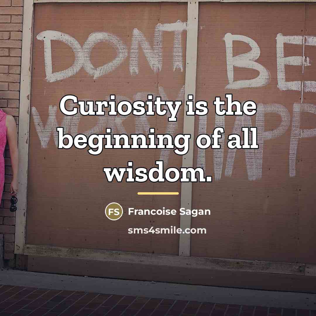 “Curiosity is the beginning of all wisdom.…” quote by Francoise Sagan