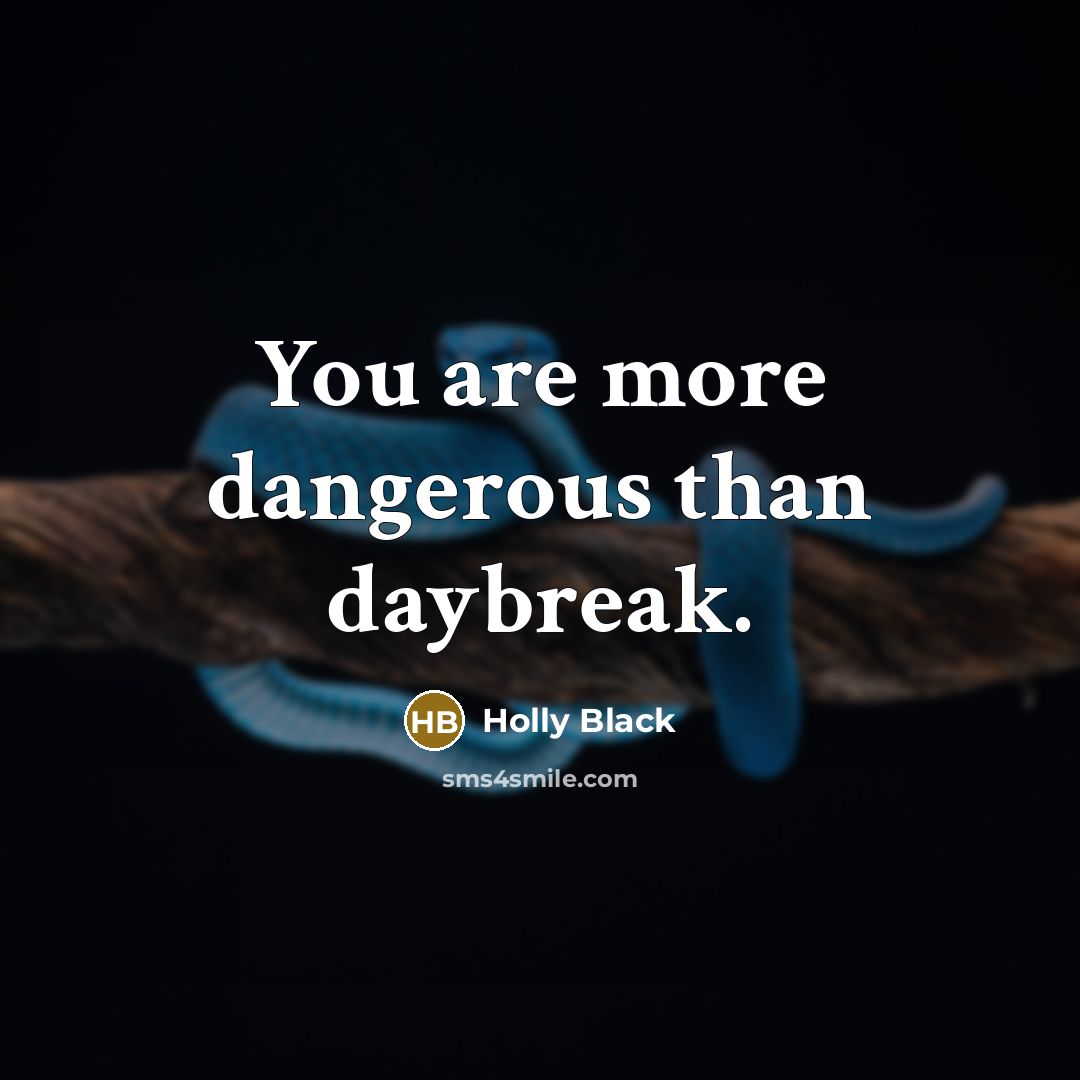 “You are more dangerous than daybreak.…” quote by Holly Black
