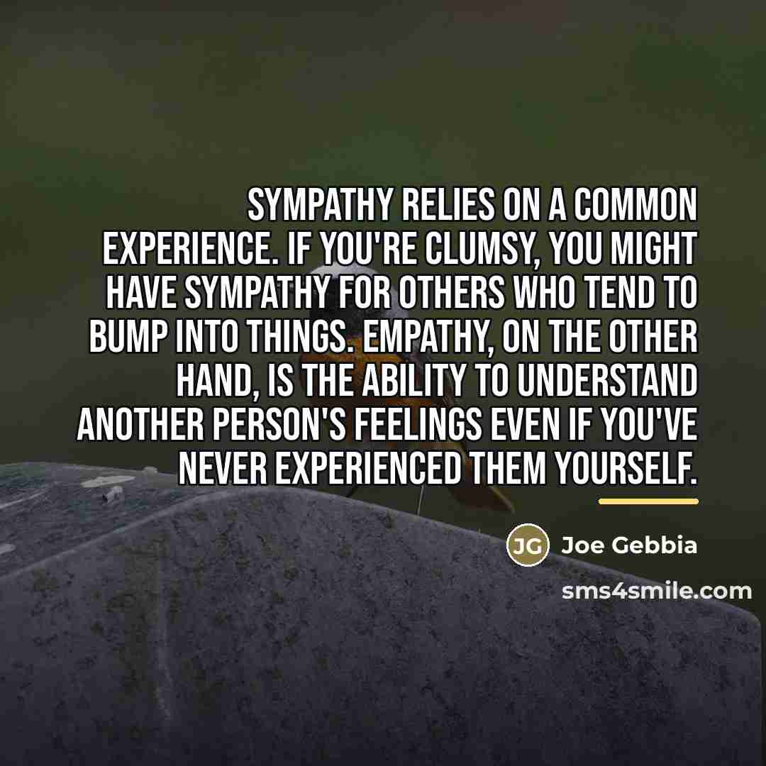 “Sympathy relies on a common experience. If you're clumsy, you…” quote by Joe Gebbia