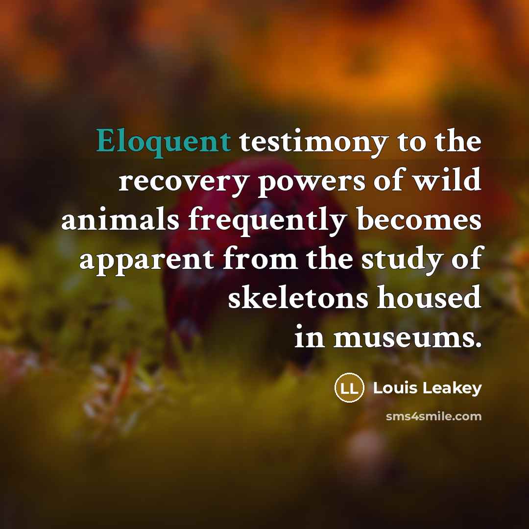 “Eloquent testimony to the recovery powers of wild animals frequently…” quote by Louis Leakey