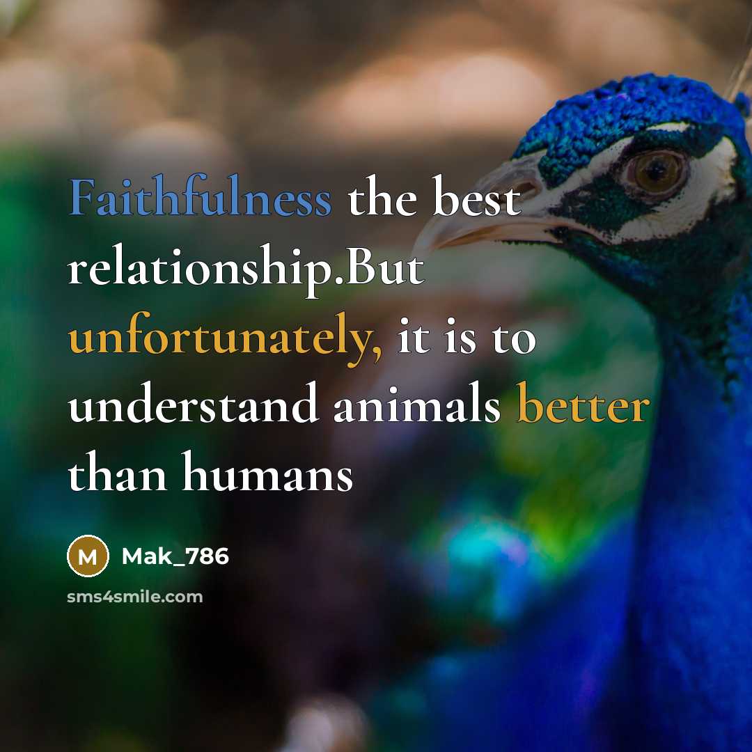 “Faithfulness the best relationship.But unfortunately, it is to understand animals better than humans” quote by Mak_786