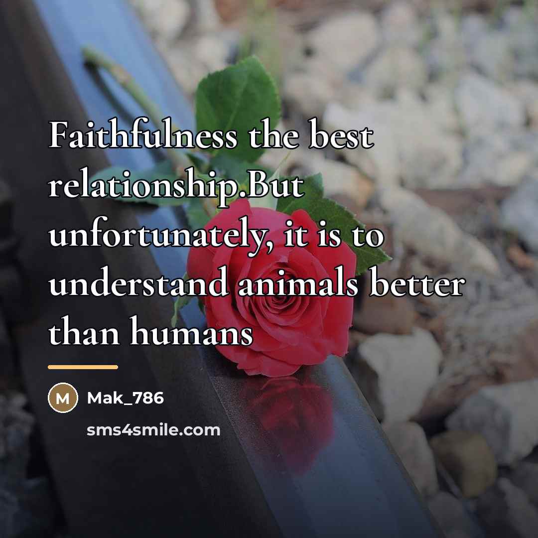 “Faithfulness the best relationship.But unfortunately, it is to understand animals…” quote by Mak_786