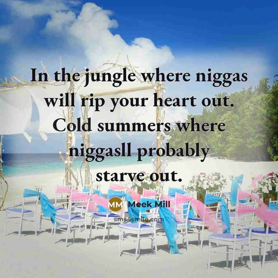 “In the jungle where niggas will rip your heart out.…” quote by Meek Mill