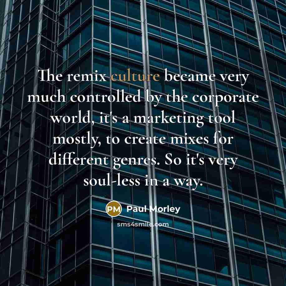 “The remix culture became very much controlled by the corporate…” quote by Paul Morley