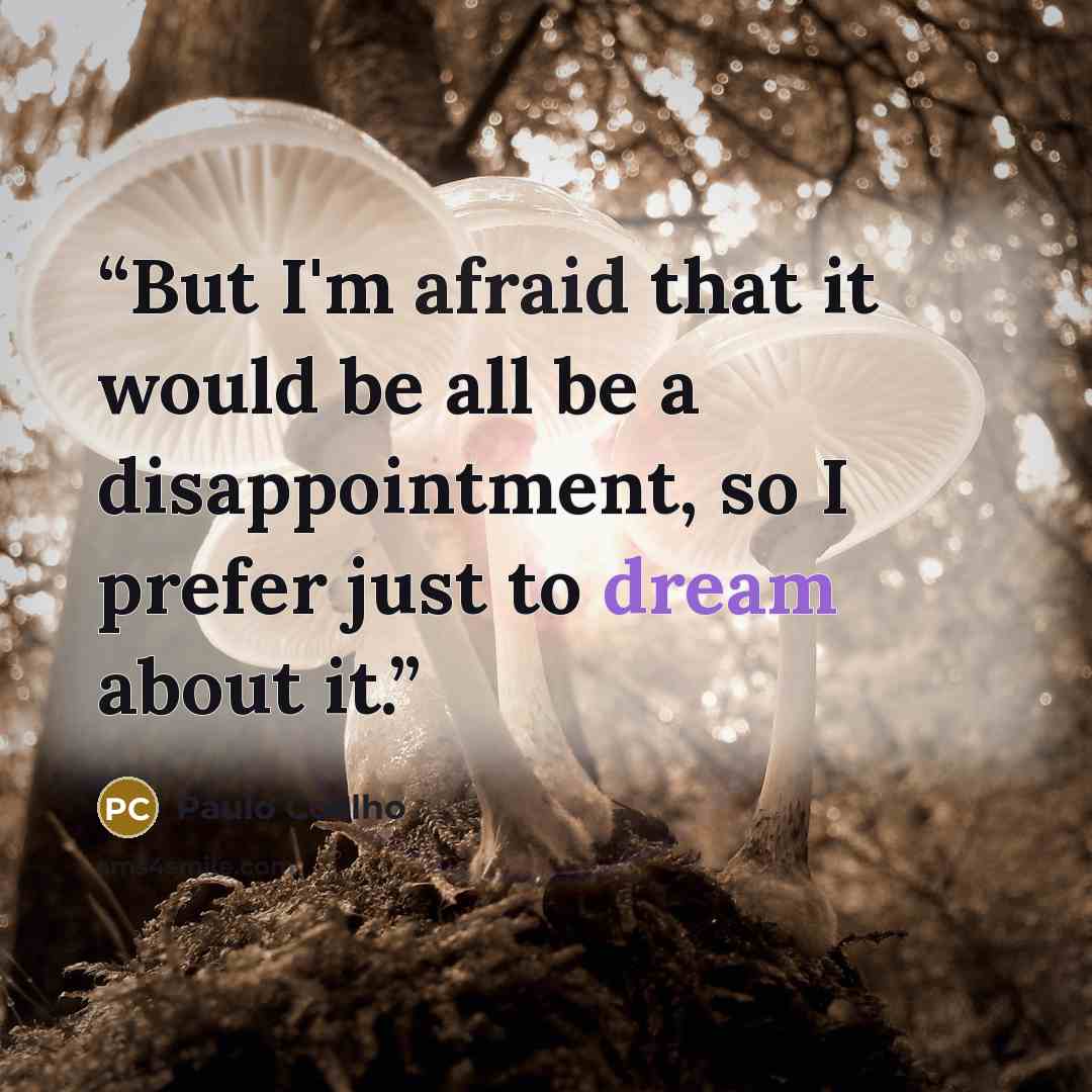 “But I'm afraid that it would be all be a disappointment, so I prefer just to dream about it.” quote by Paulo Coelho