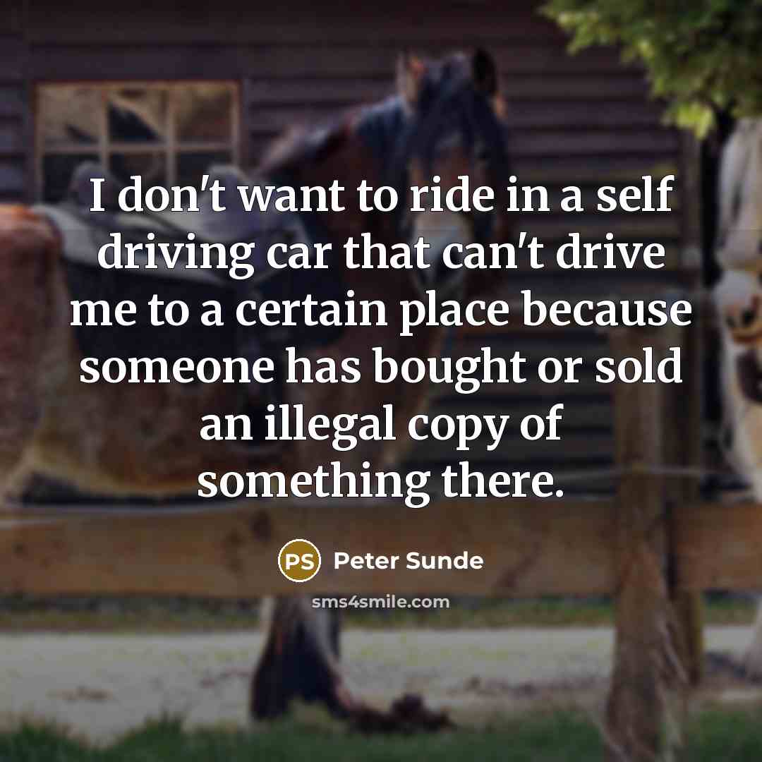 “I don't want to ride in a self driving car…” quote by Peter Sunde