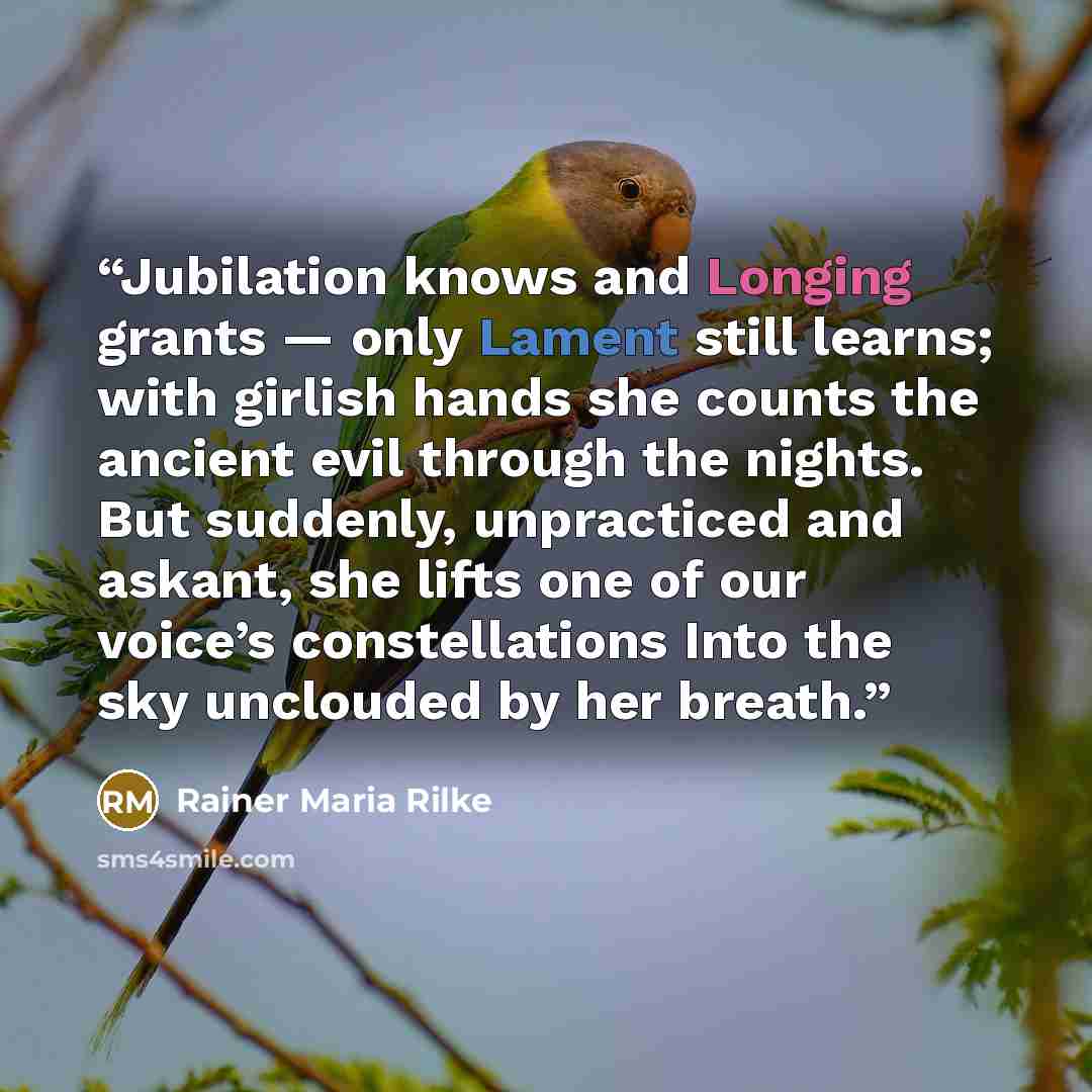 “Jubilation knows and Longing grants — only Lament still learns; with girlish hands she counts the ancient evil through the nights. But suddenly, unpracticed and askant, she lifts one of our voice’s constellations Into the sky unclouded by her breath.” quote by Rainer Maria Rilke