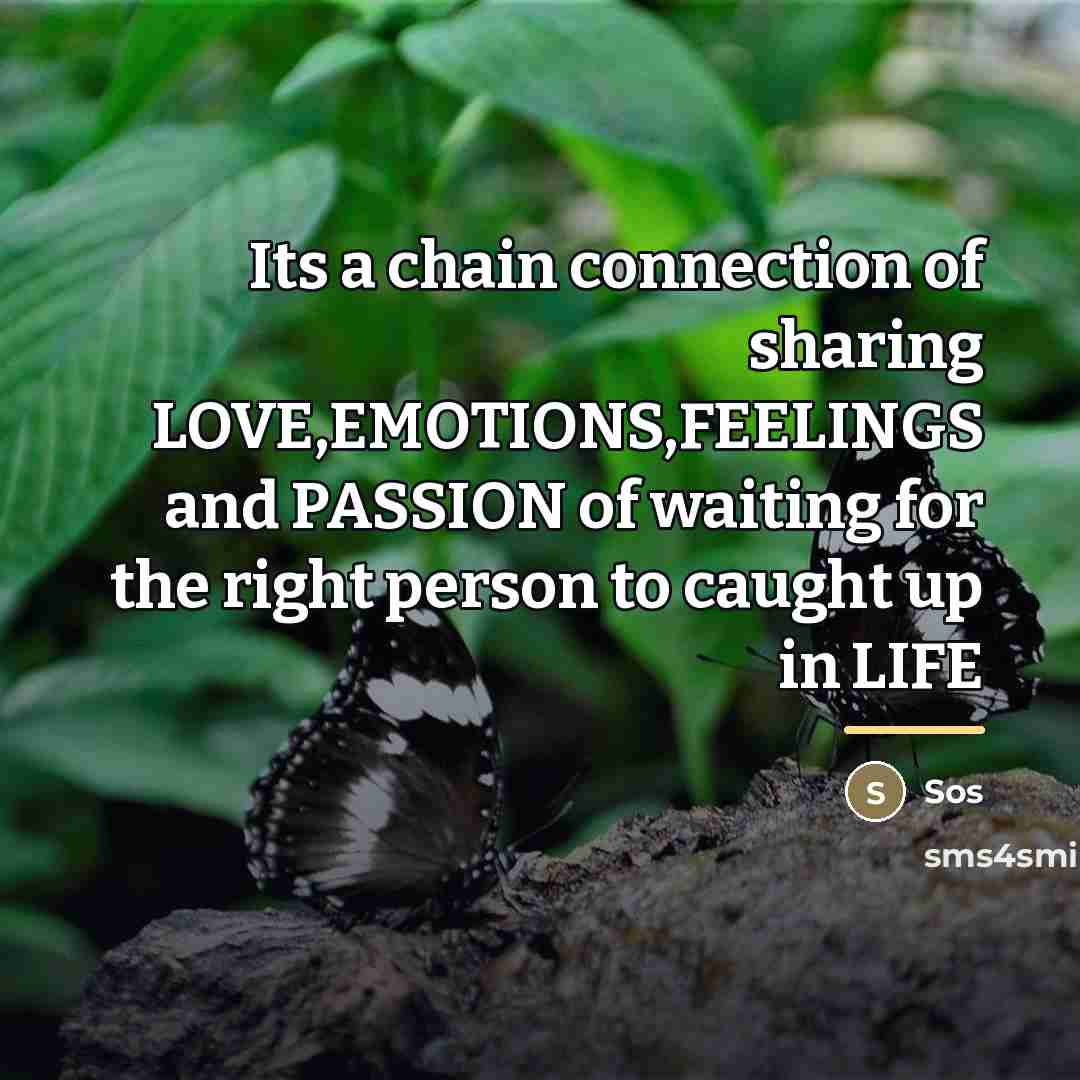 “Its a chain connection of sharing LOVE,EMOTIONS,FEELINGS and PASSION of…” quote by Sos
