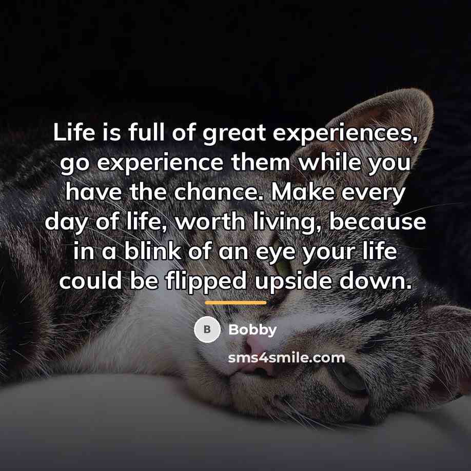 “Life is full of great experiences, go experience them while…” quote by Bobby