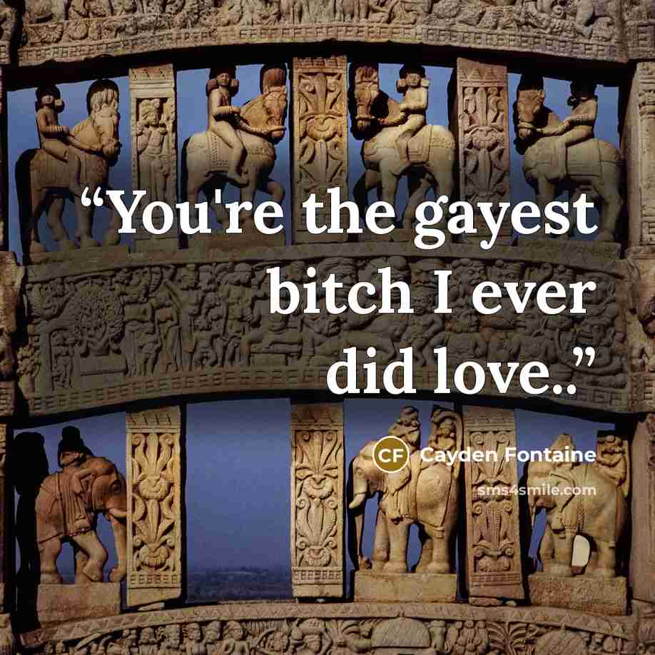 “You're the gayest bitch I ever did love..” quote by Cayden Fontaine