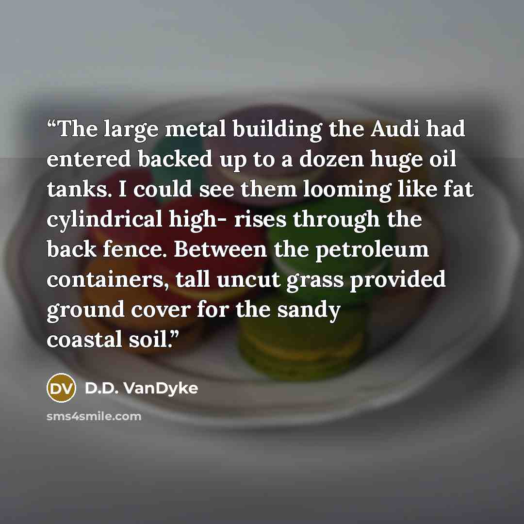 “The large metal building the Audi had entered backed up to a dozen huge oil tanks. I could see them looming like fat cylindrical high- rises through the back fence. Between the petroleum containers, tall uncut grass provided ground cover for the sandy coastal soil.” quote by D.D. VanDyke