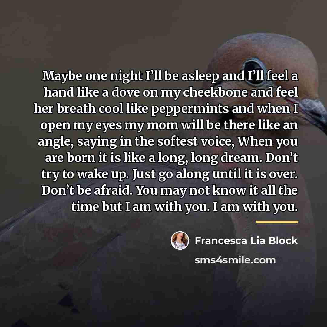 “Maybe one night I’ll be asleep and I’ll feel a…” quote by Francesca Lia Block