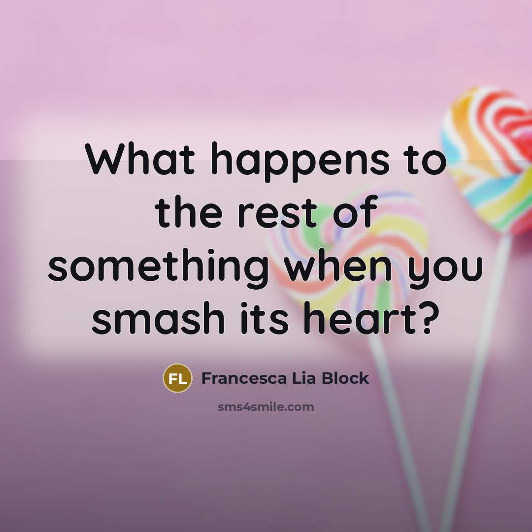 “What happens to the rest of something when you smash its heart?” quote by Francesca Lia Block