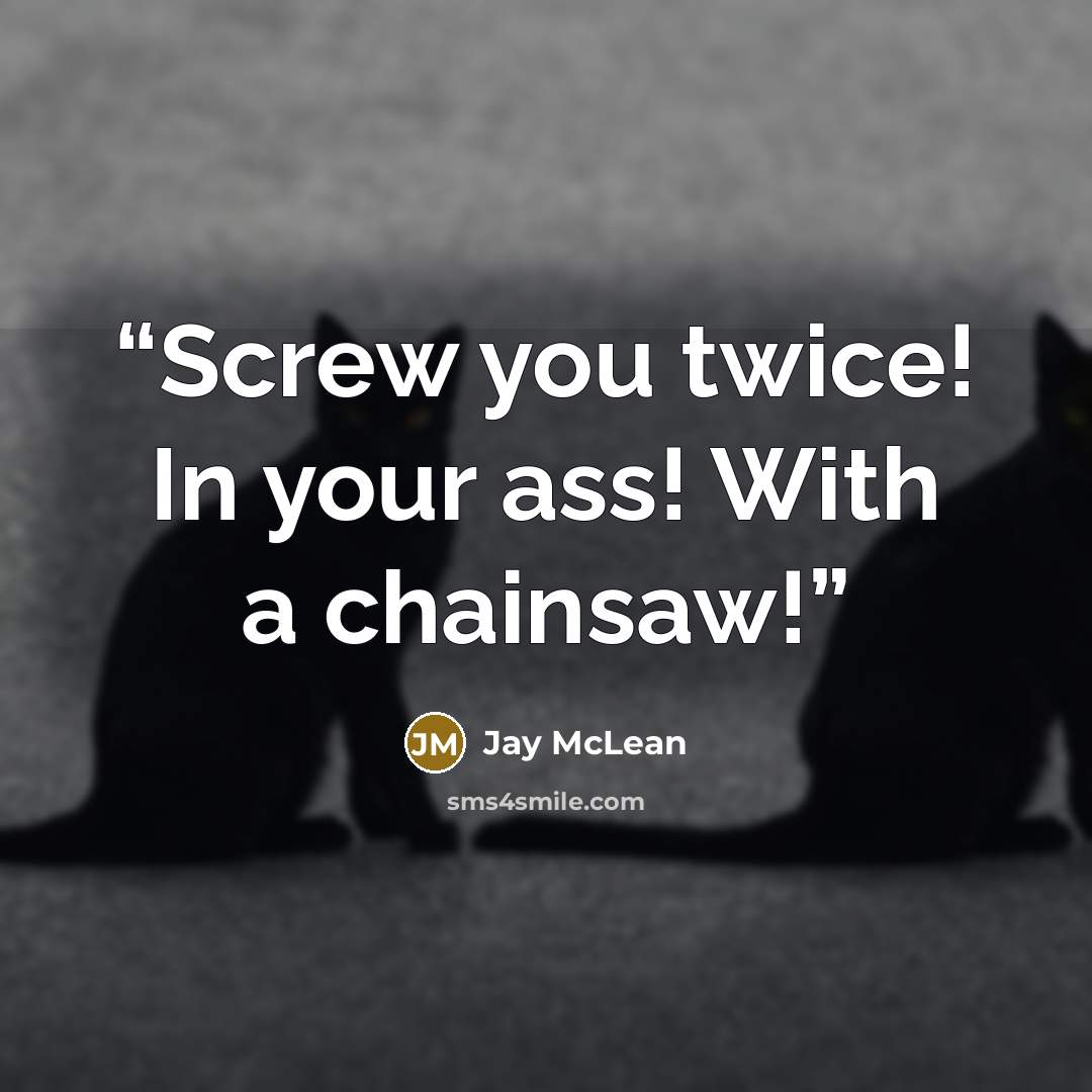 “Screw you twice! In your ass! With a chainsaw!” quote by Jay McLean
