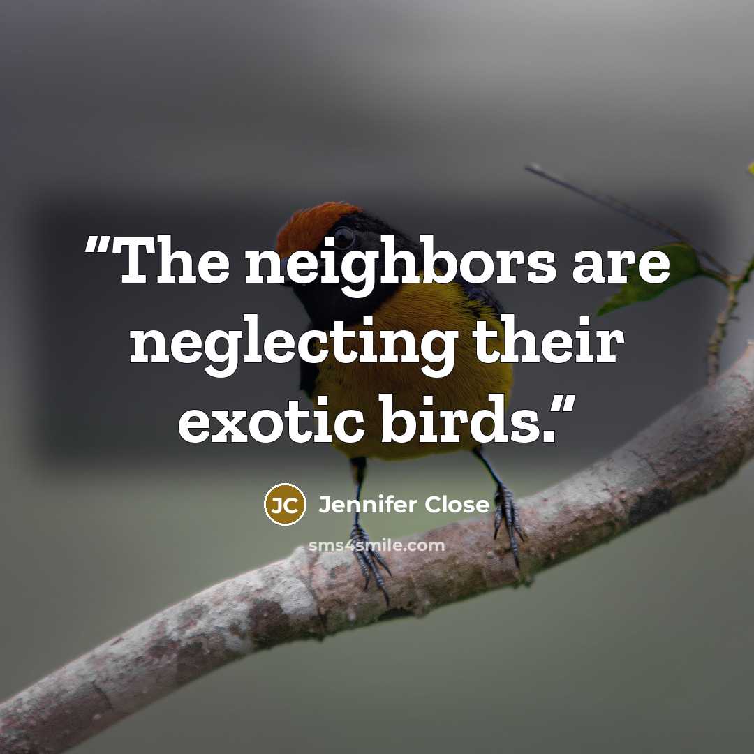 “The neighbors are neglecting their exotic birds.” quote by Jennifer Close