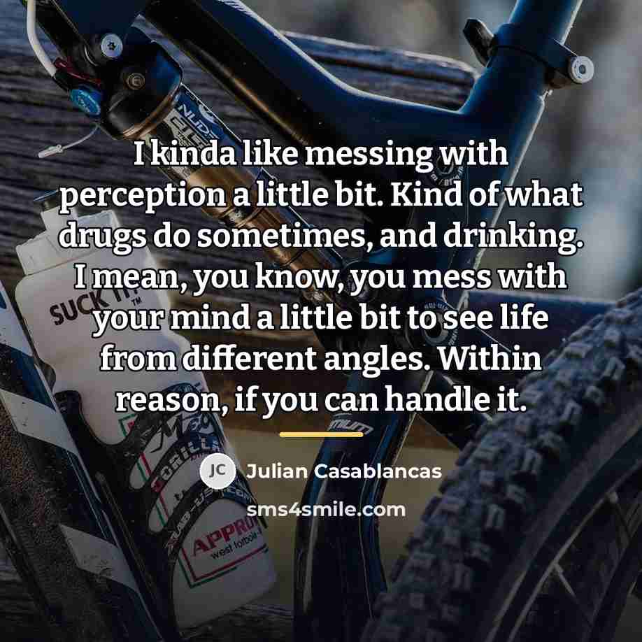 “I kinda like messing with perception a little bit. Kind…” quote by Julian Casablancas