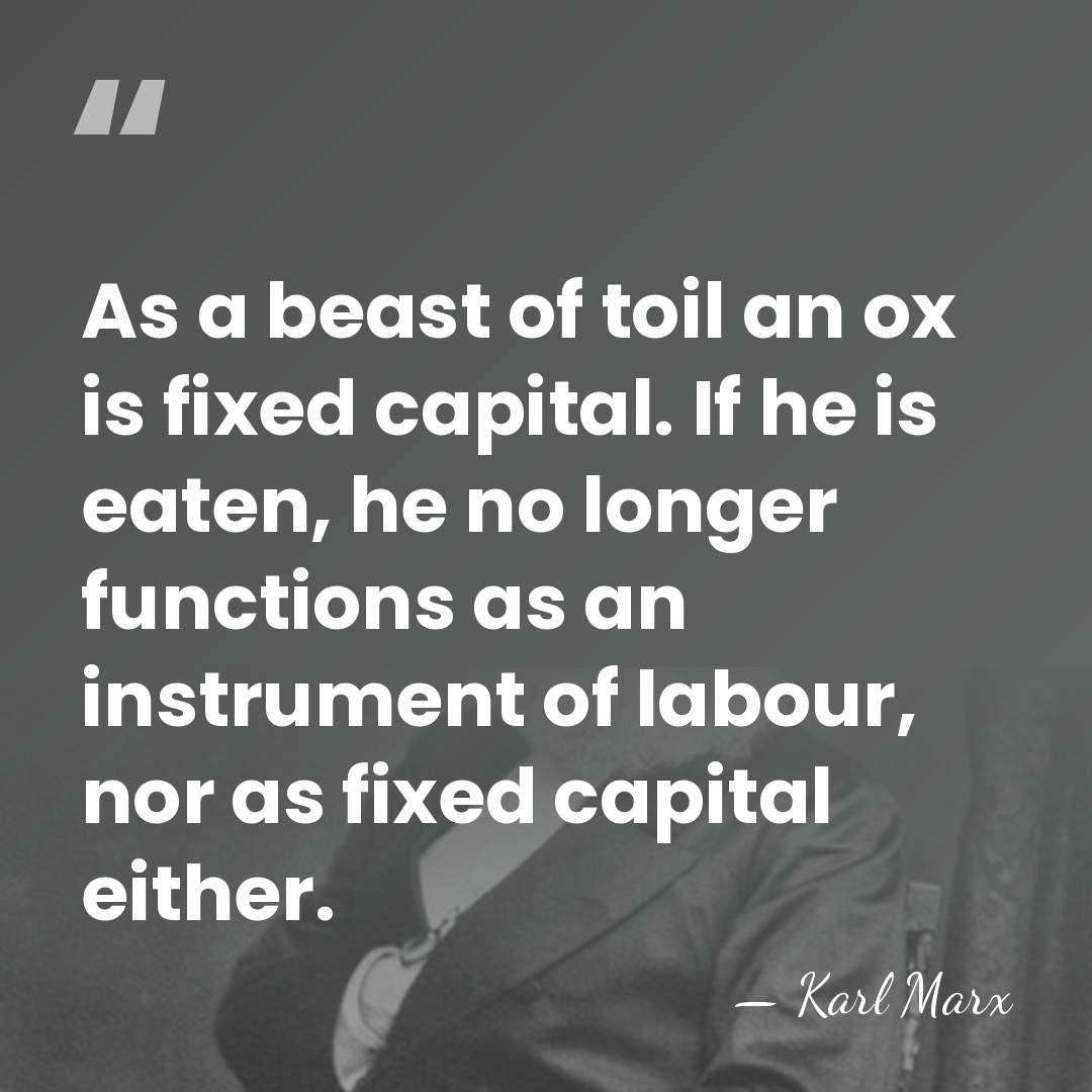 As a beast of toil an ox is fixed capital. If he&hellip; - Karl Marx