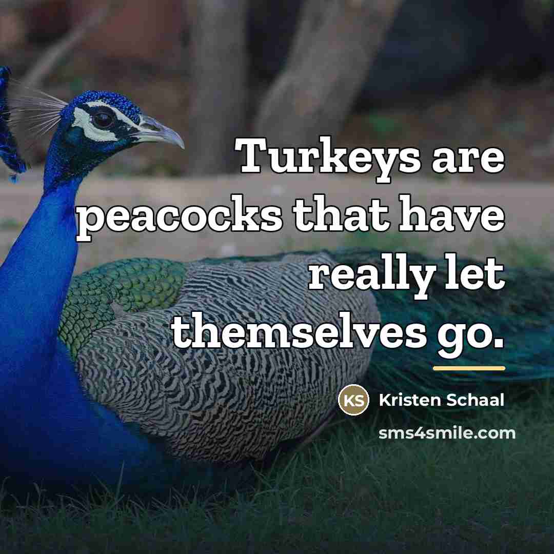 “Turkeys are peacocks that have really let themselves go.…” quote by Kristen Schaal