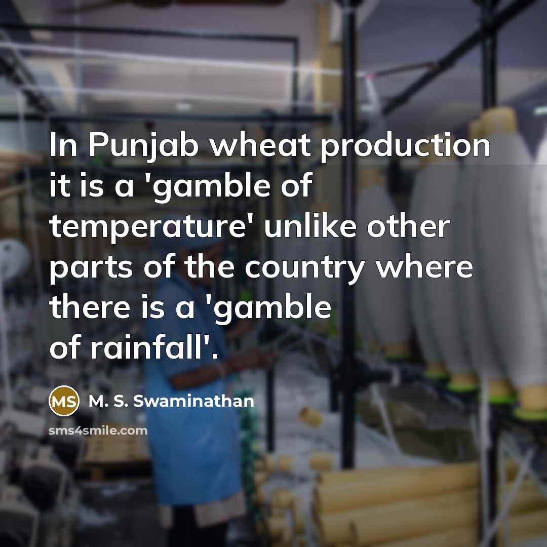 “In Punjab wheat production it is a 'gamble of temperature' unlike other parts of the country where there is a 'gamble of rainfall'.” quote by M. S. Swaminathan