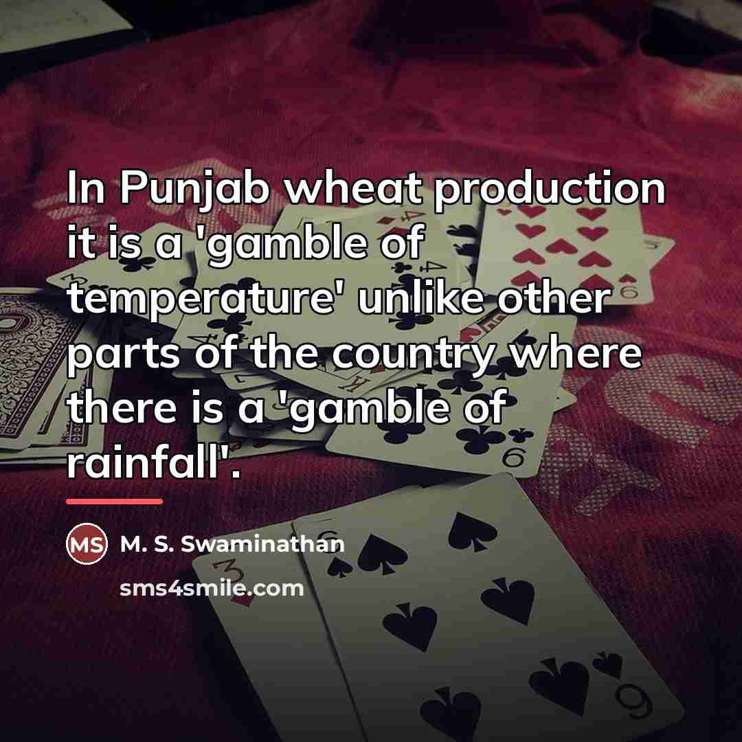 “In Punjab wheat production it is a 'gamble of temperature'…” quote by M. S. Swaminathan