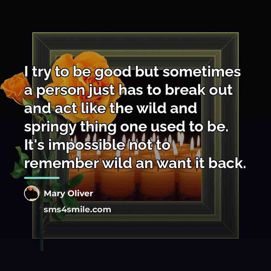 “I try to be good but sometimes a person just…” quote by Mary Oliver