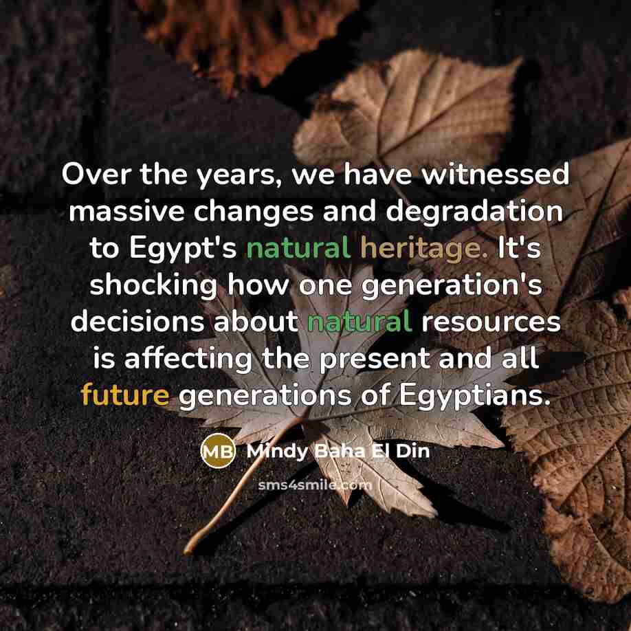 “Over the years, we have witnessed massive changes and degradation…” quote by Mindy Baha El Din