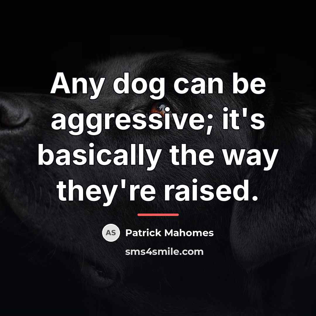 “Any dog can be aggressive; it's basically the way they're…” quote by Patrick Mahomes