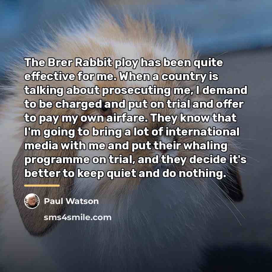 “The Brer Rabbit ploy has been quite effective for me.…” quote by Paul Watson