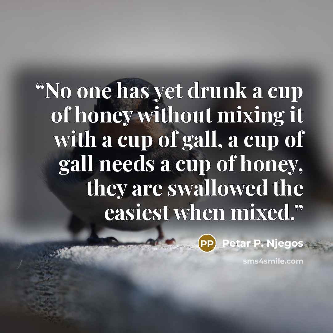 “No one has yet drunk a cup of honey without mixing it with a cup of gall, a cup of gall needs a cup of honey, they are swallowed the easiest when mixed.” quote by Petar P. Njegos