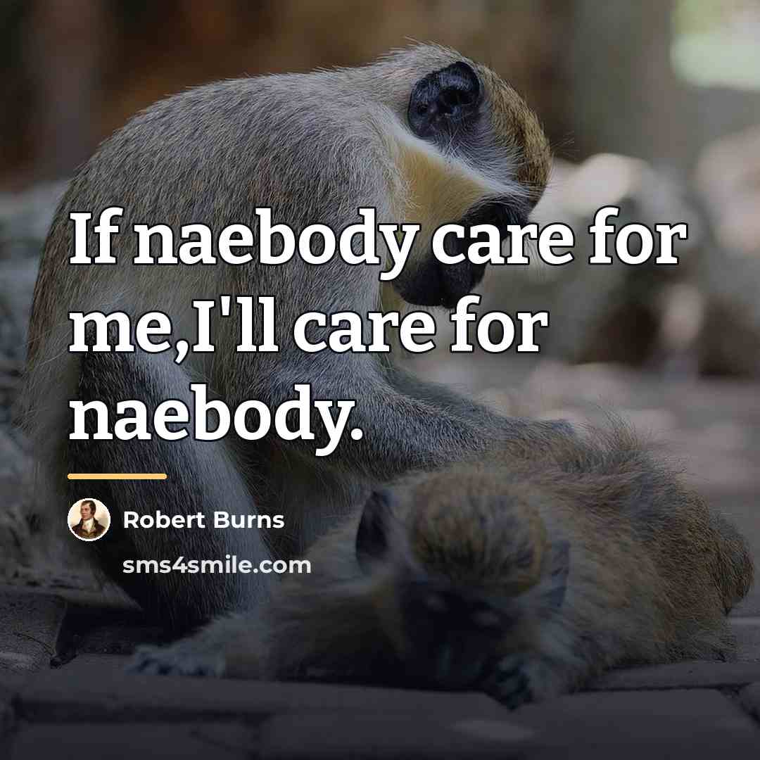“If naebody care for me,I'll care for naebody.…” quote by Robert Burns