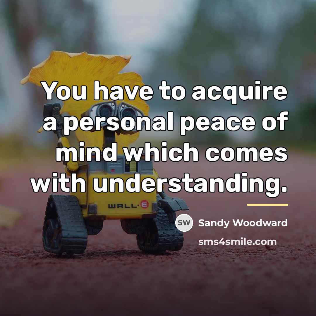 “You have to acquire a personal peace of mind which…” quote by Sandy Woodward