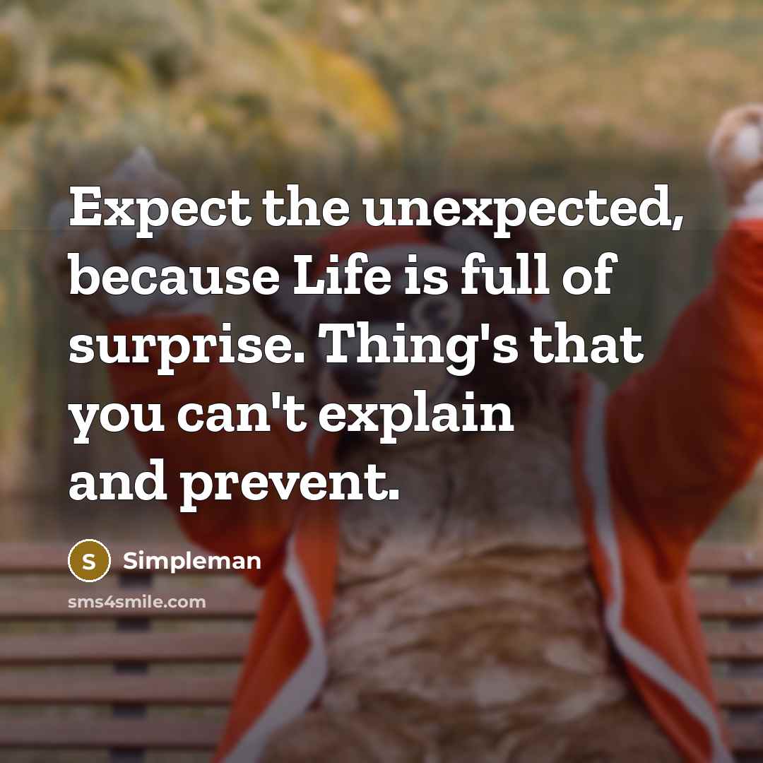 “Expect the unexpected, because Life is full of surprise. Thing's that you can't explain and prevent.” quote by Simpleman