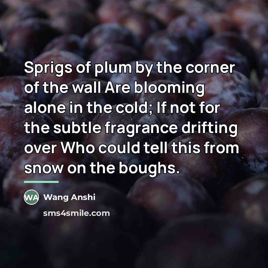 “Sprigs of plum by the corner of the wall Are…” quote by Wang Anshi