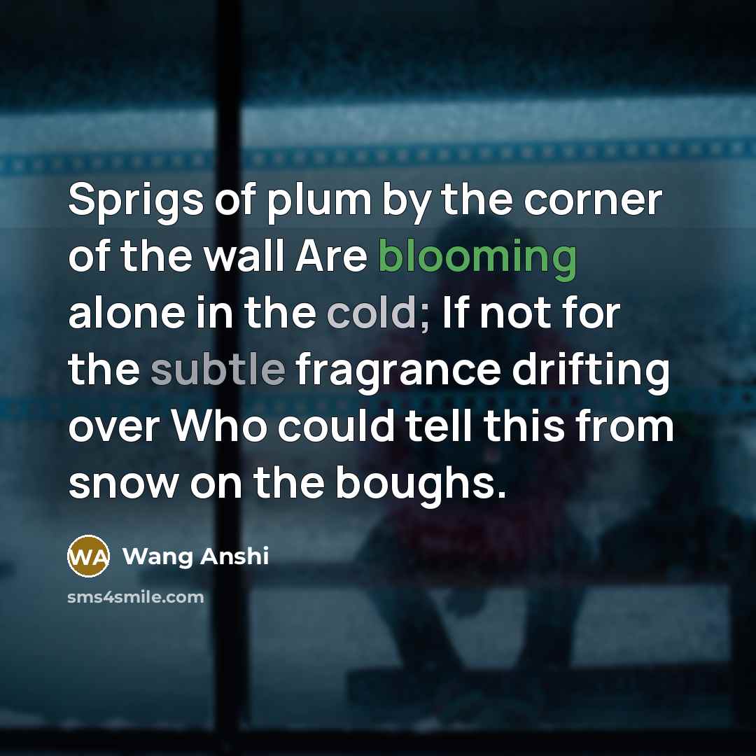 “Sprigs of plum by the corner of the wall Are blooming alone in the cold; If not for the subtle fragrance drifting over Who could tell this from snow on the boughs.” quote by Wang Anshi