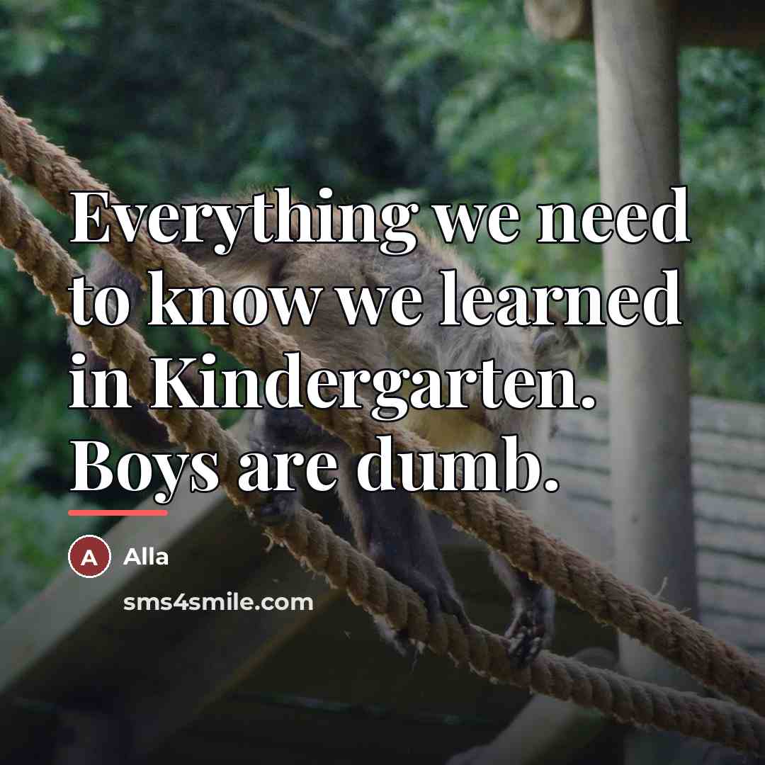 “Everything we need to know we learned in Kindergarten. Boys…” quote by Alla