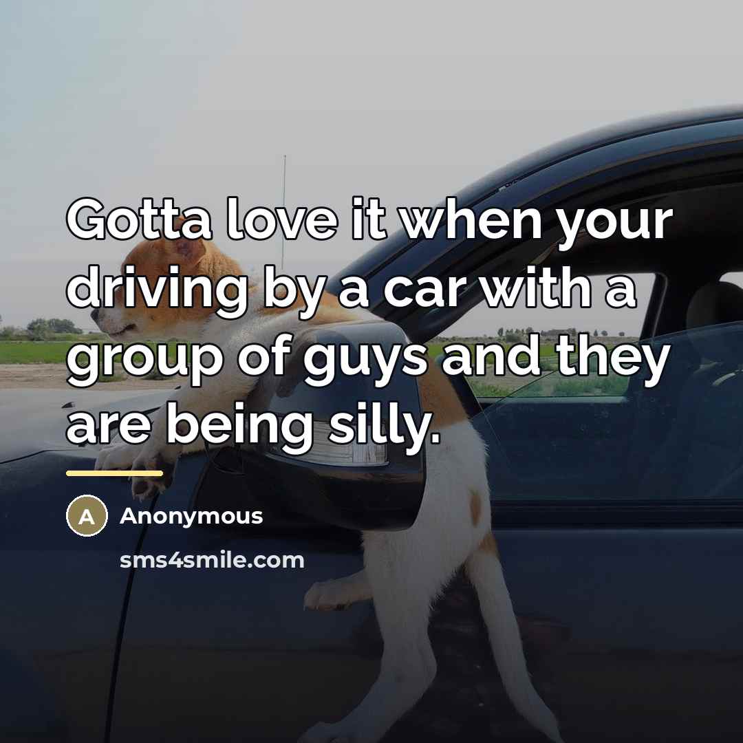 “Gotta love it when your driving by a car with…” quote by Anonymous