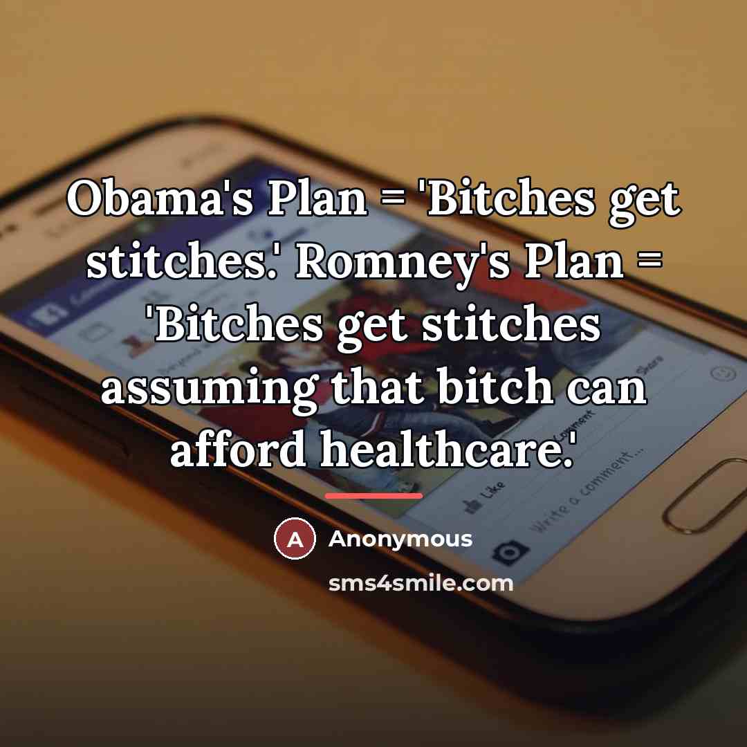 “Obama's Plan = 'Bitches get stitches.' Romney's Plan = 'Bitches…” quote by Anonymous