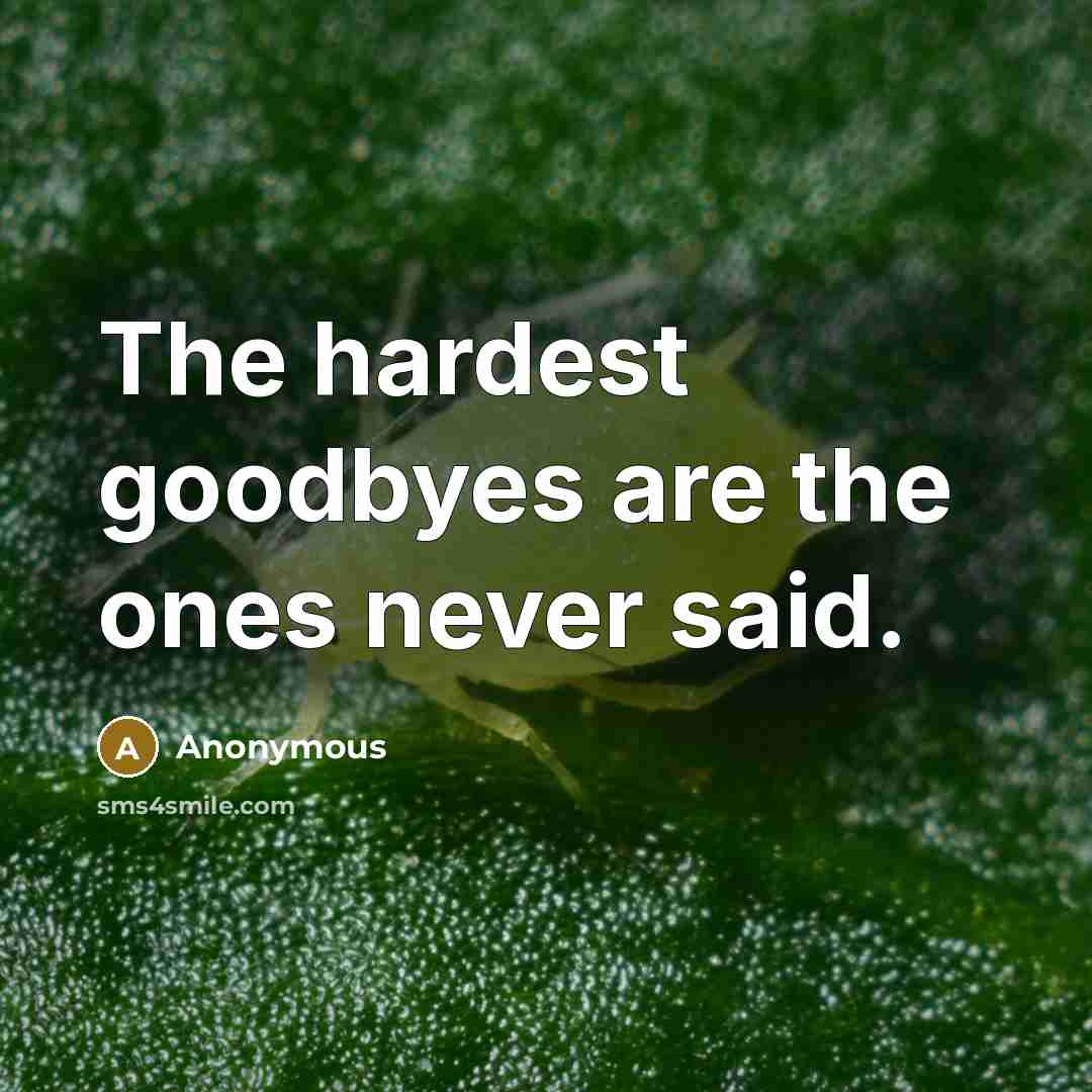 “The hardest goodbyes are the ones never said.” quote by Anonymous