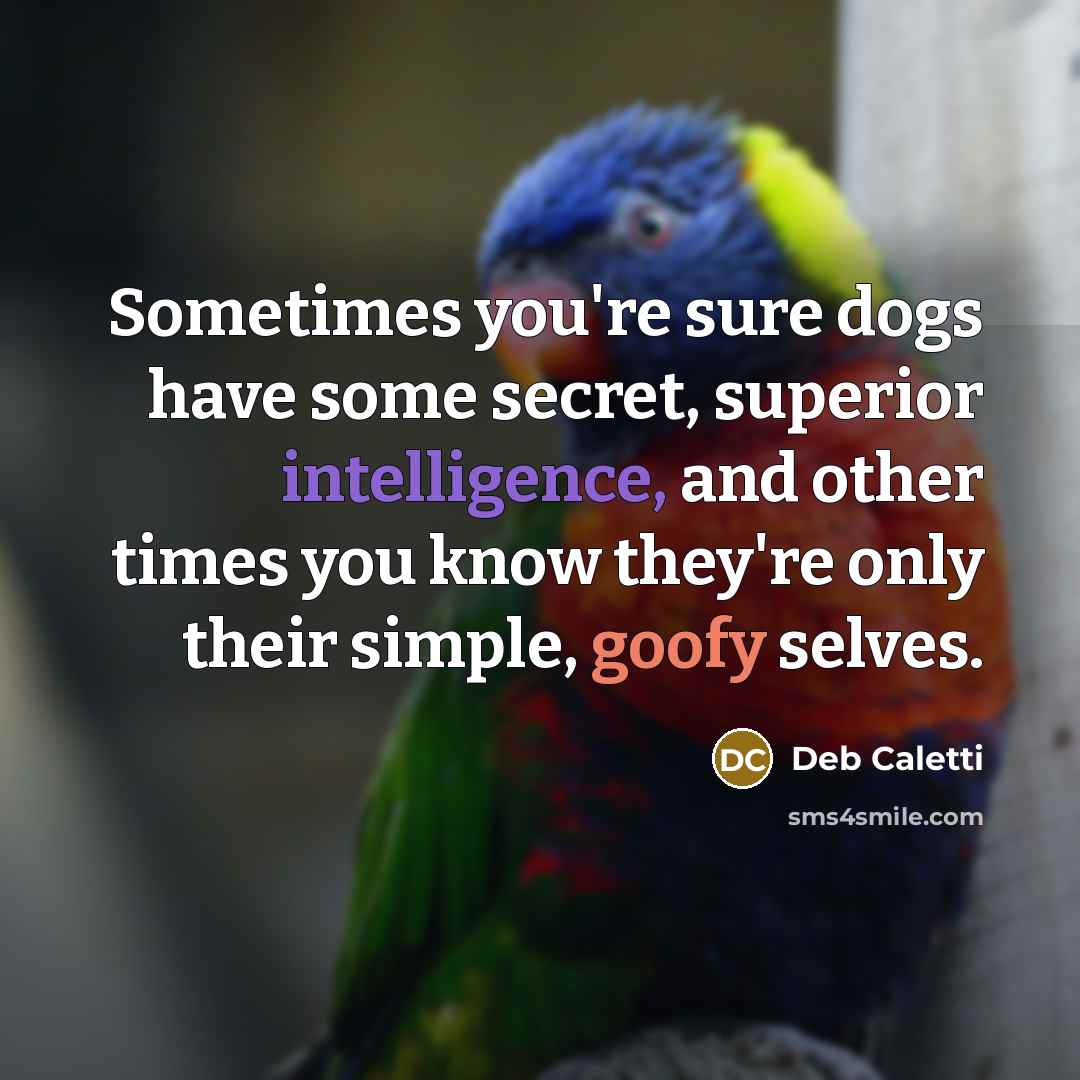“Sometimes you're sure dogs have some secret, superior intelligence, and other times you know they're only their simple, goofy selves.” quote by Deb Caletti