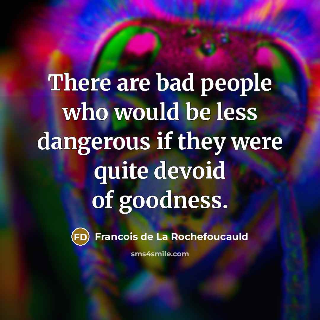 “There are bad people who would be less dangerous if…” quote by Francois de La Rochefoucauld