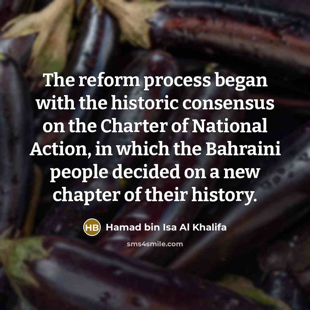 “The reform process began with the historic consensus on the…” quote by Hamad bin Isa Al Khalifa