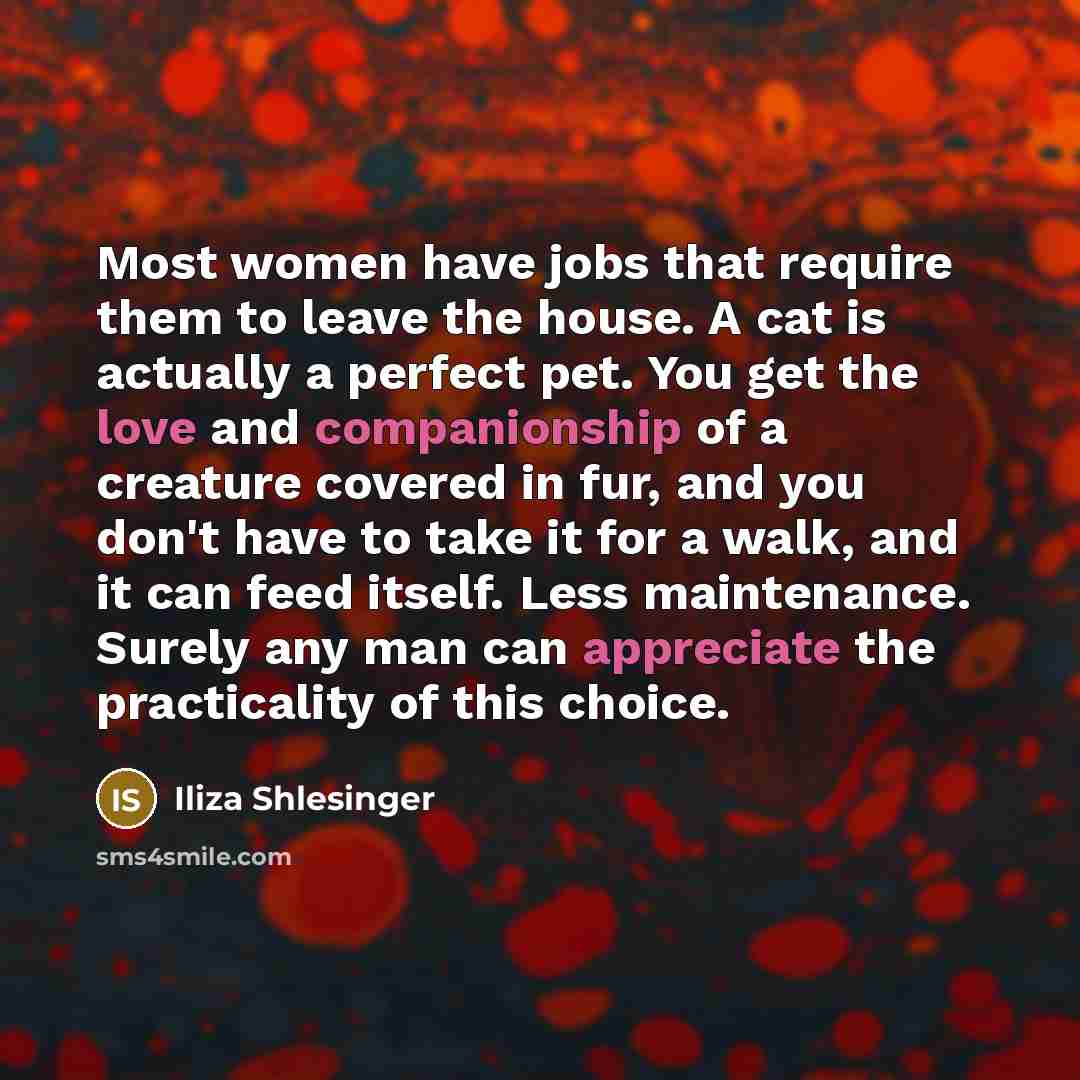 “Most women have jobs that require them to leave the house. A cat is actually a perfect pet. You get the love and companionship of a creature covered in fur, and you don't have to take it for a walk, and it can feed itself. Less maintenance. Surely any man can appreciate the practicality of this…” quote by Iliza Shlesinger