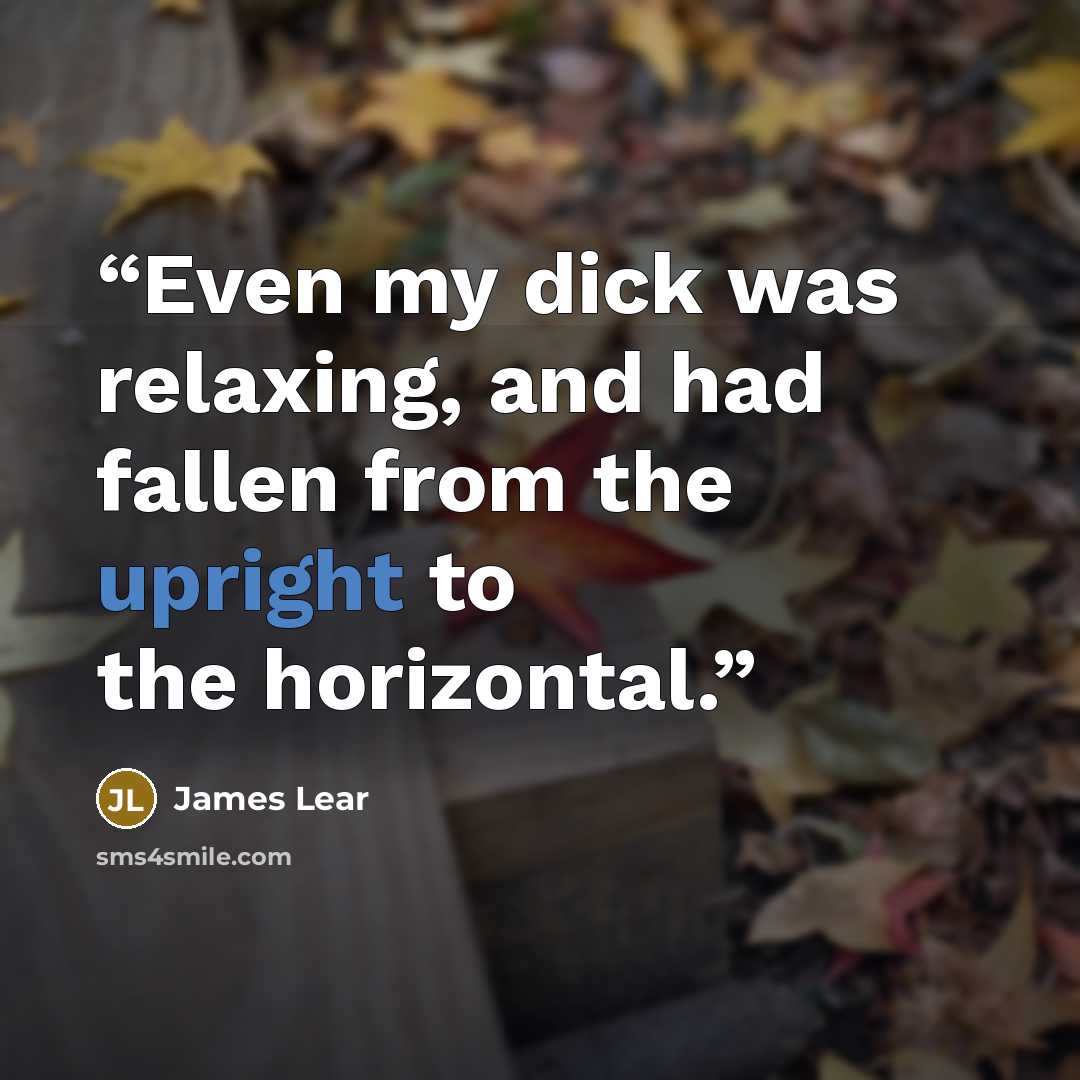 “Even my dick was relaxing, and had fallen from the upright to the horizontal.” quote by James Lear