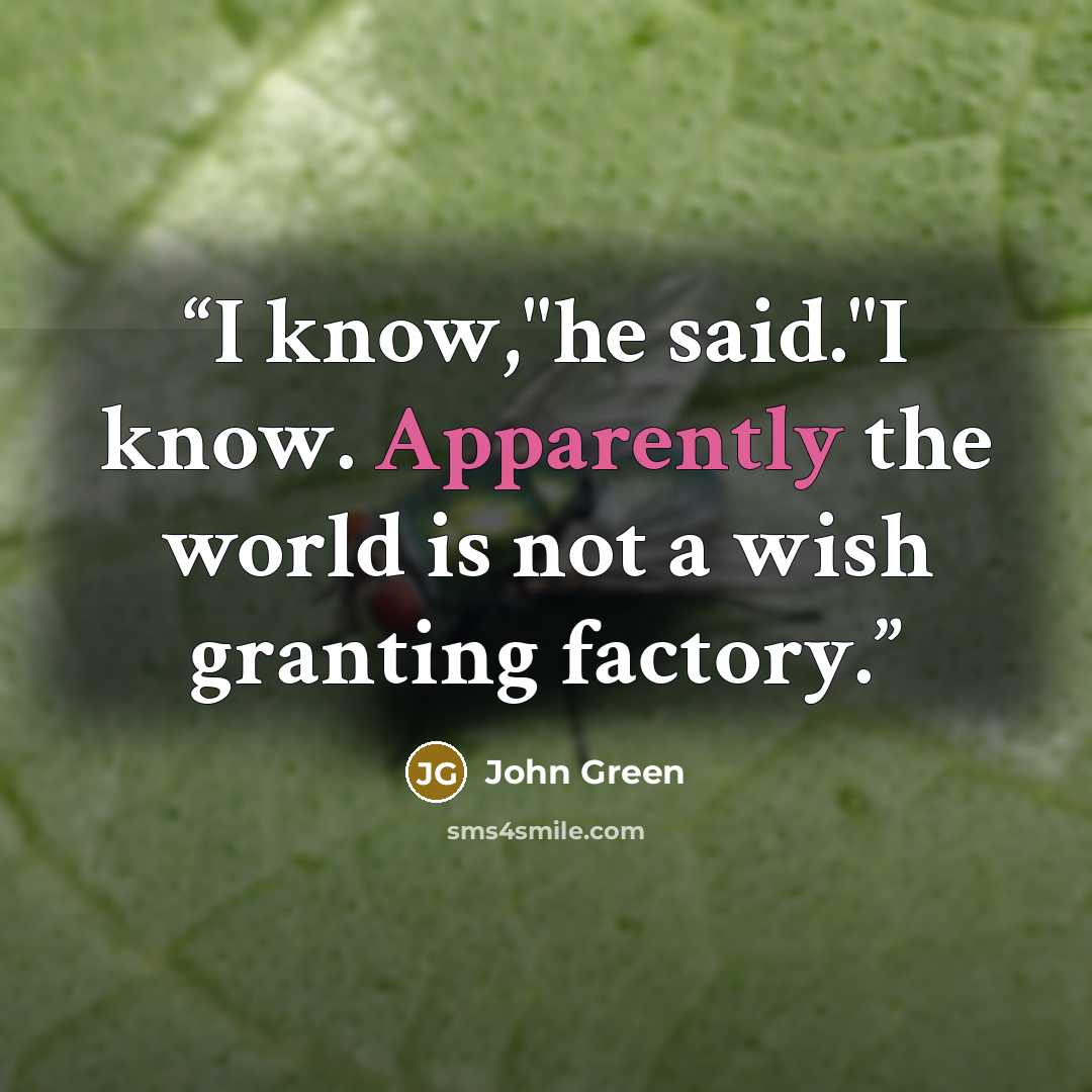 “I know,"he said."I know. Apparently the world is not a wish granting factory.” quote by John Green