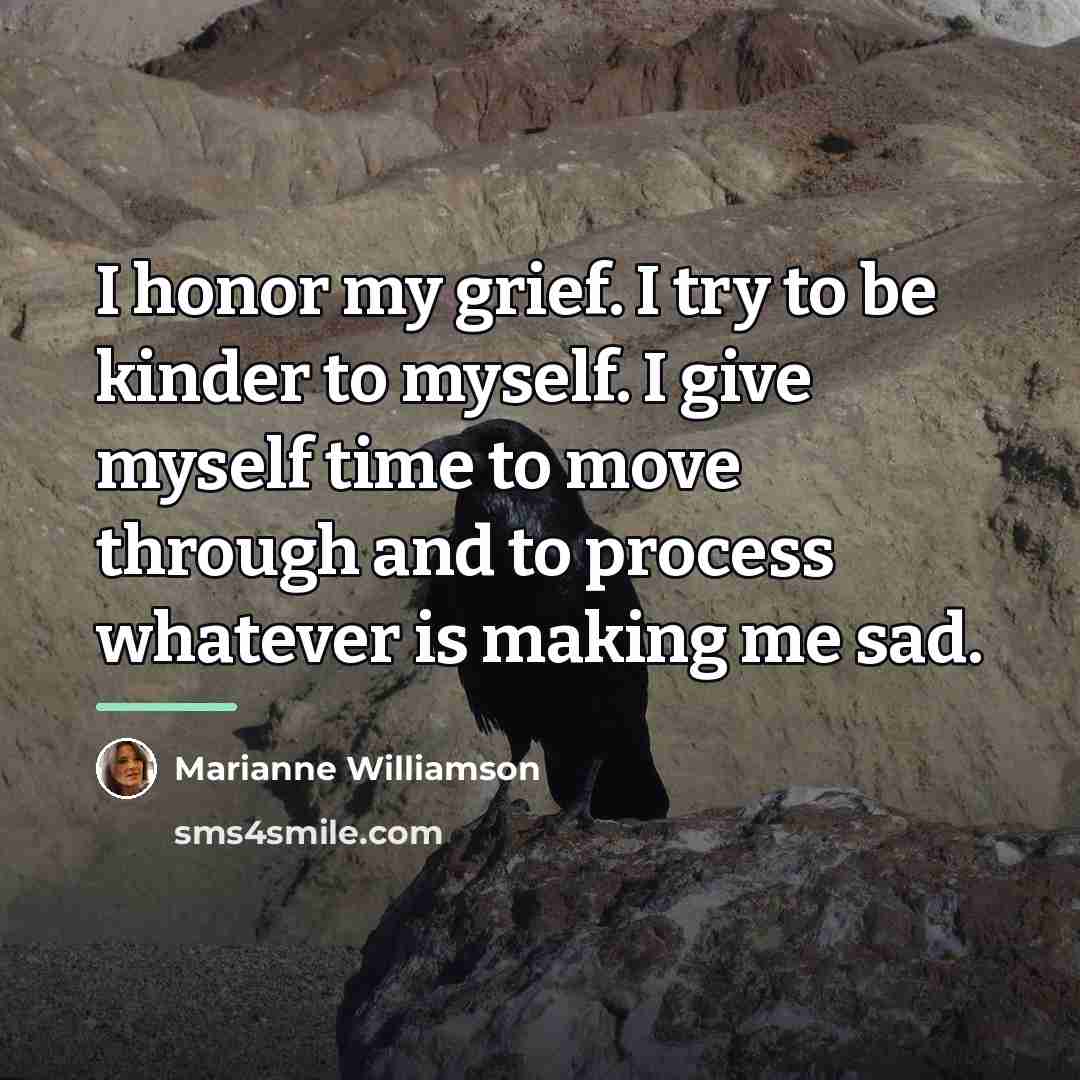 “I honor my grief. I try to be kinder to…” quote by Marianne Williamson