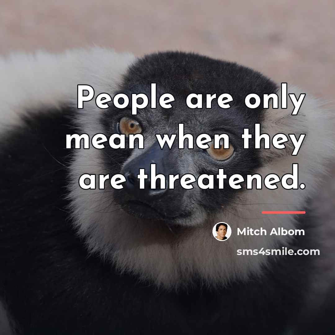 “People are only mean when they are threatened.…” quote by Mitch Albom