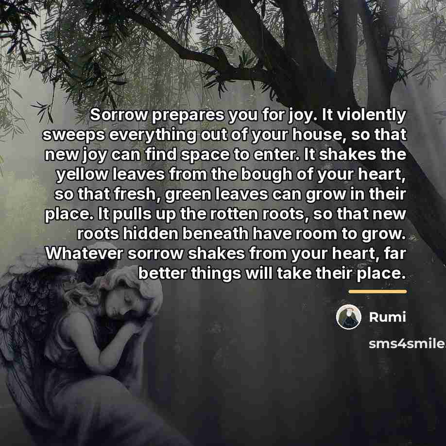 “Sorrow prepares you for joy. It violently sweeps everything out…” quote by Rumi
